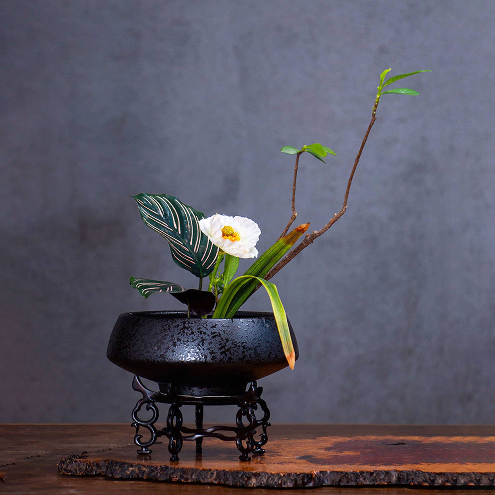 AMONENZ Ikebana Vaas, Ikebana, 4 stuks, met roestvrijstalen AMONENZ Ikebana Vaas, Ikebana, 4 stuks, met roestvrijstalen