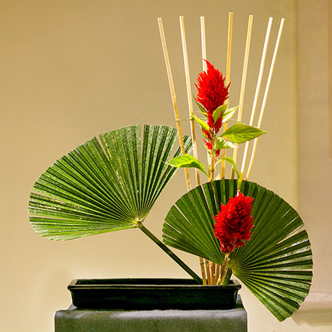 Rectangular Ceramic Ikebana Vase/Japanese Flower Arrangement/Large Kenzan Flower Frog Included, Black and White Color - theTeaCloud