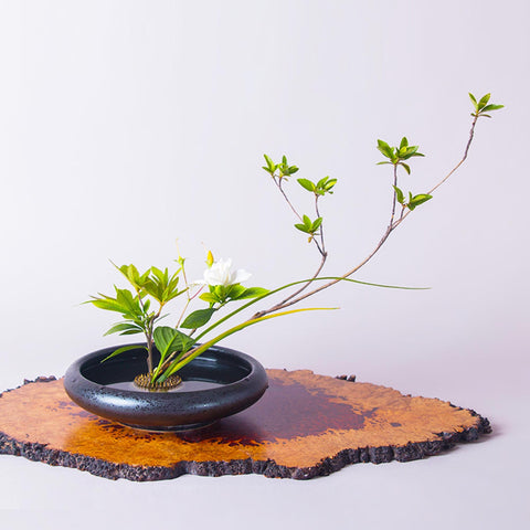 Traditional Japanese Style Ink Speckled Black, Ikebana Plate - theTeaCloud