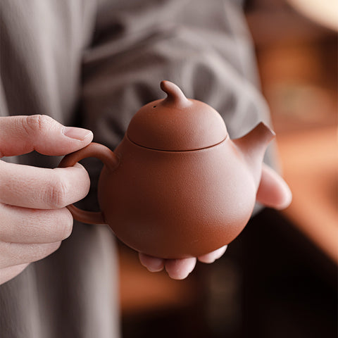 Yixing Zisha Clay Tea Ritual Gift Set - Teapot with Two Cups