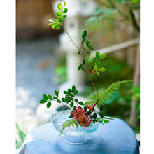 Load image into Gallery viewer, Transparent Glass Ikebana Vase with Pairing D70cm Kenzan Flower Frog
